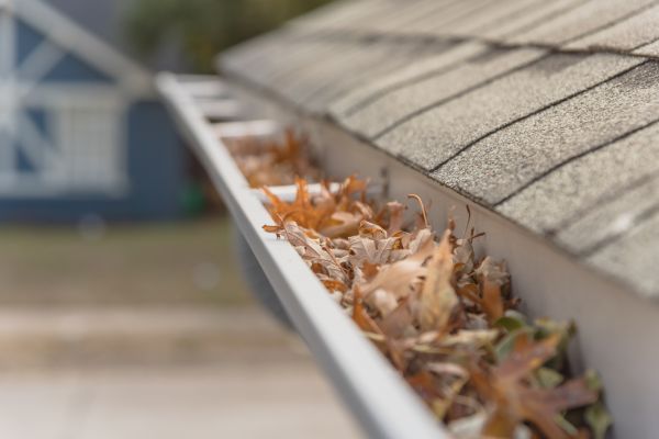 Leaf Barrier Installation in Parker